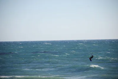 DSC_0049.jpg